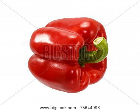 Red Bell Pepper Isolated On White Background