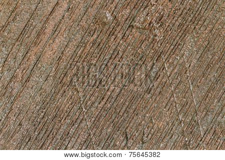 Wood Texture/wood Texture Background