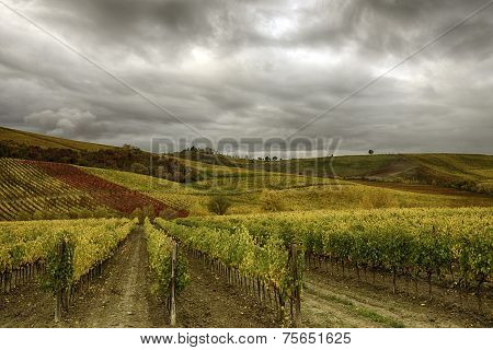 Tuscan Landscape