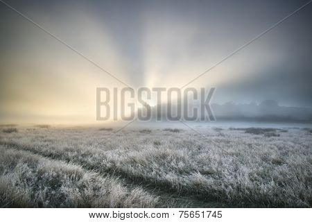 Stunning Sun Beams Light Up Fog Through Thick Fog Of Autumn Fall Frosty Landscape
