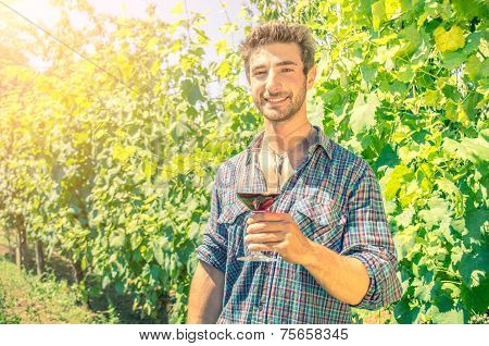 Man In A Vineyard With A Glass Of Wine