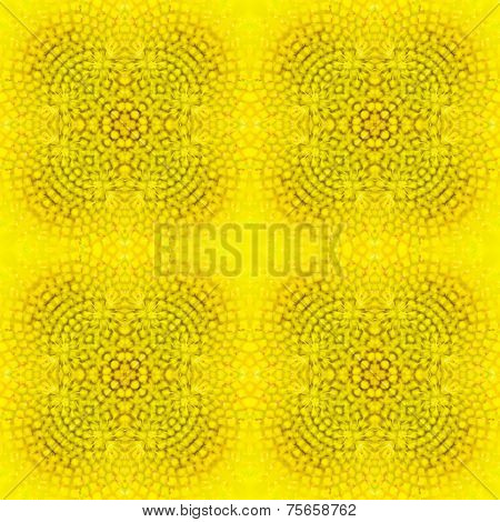 Sunflower Background