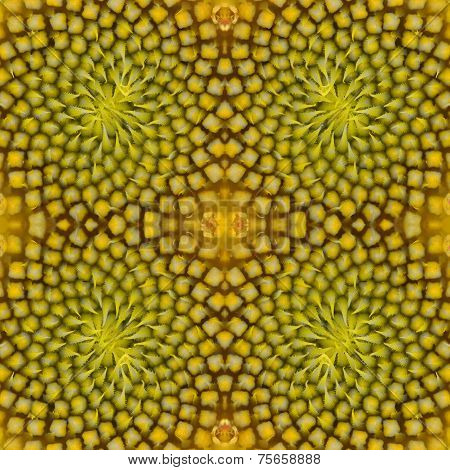Warm Sunflower