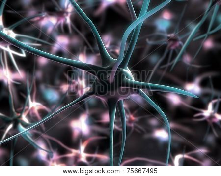 neurone