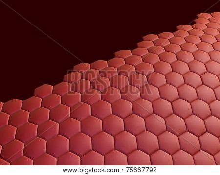 cells