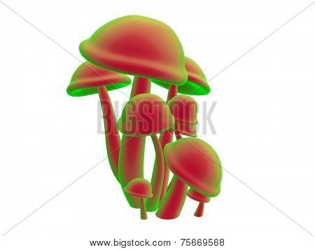 magic mushrooms