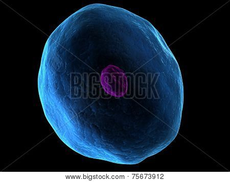 cell