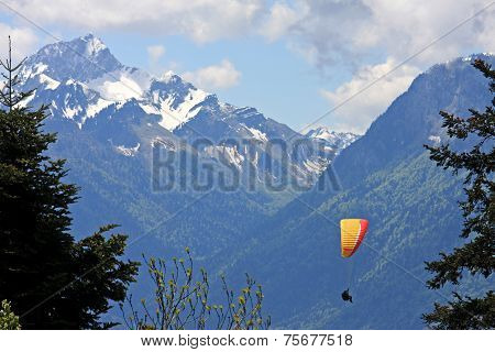 Paraglider