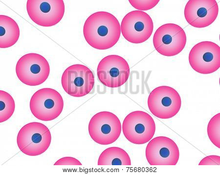 cells