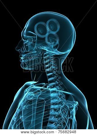 xray head with gears