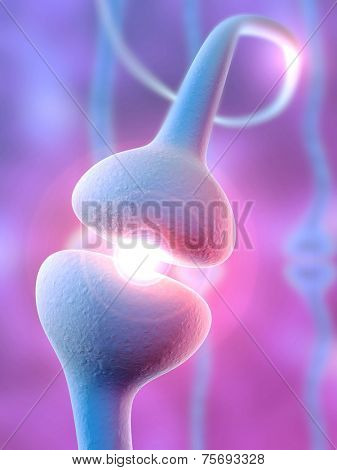 receptor