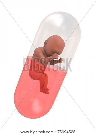 fetus capsule