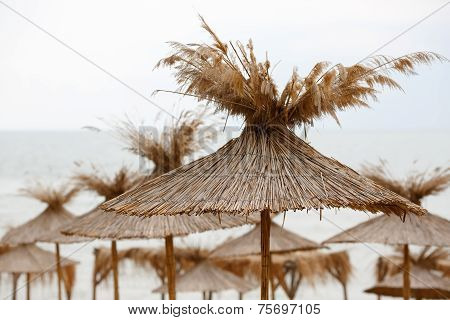 Straw beach umbrellas