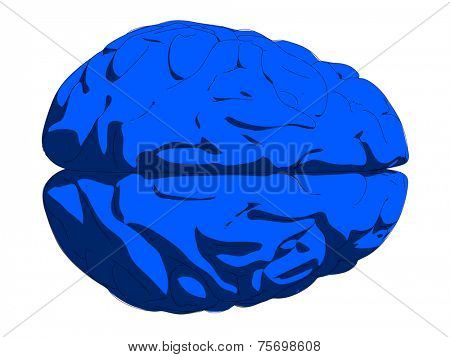 blue brain