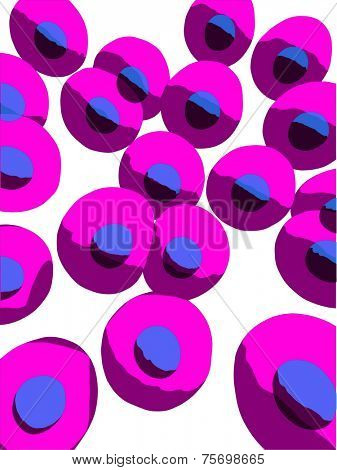 human cells