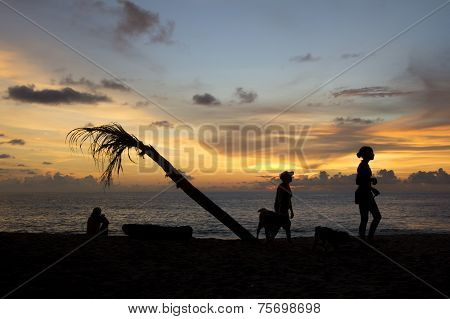 Sunset Silhouette