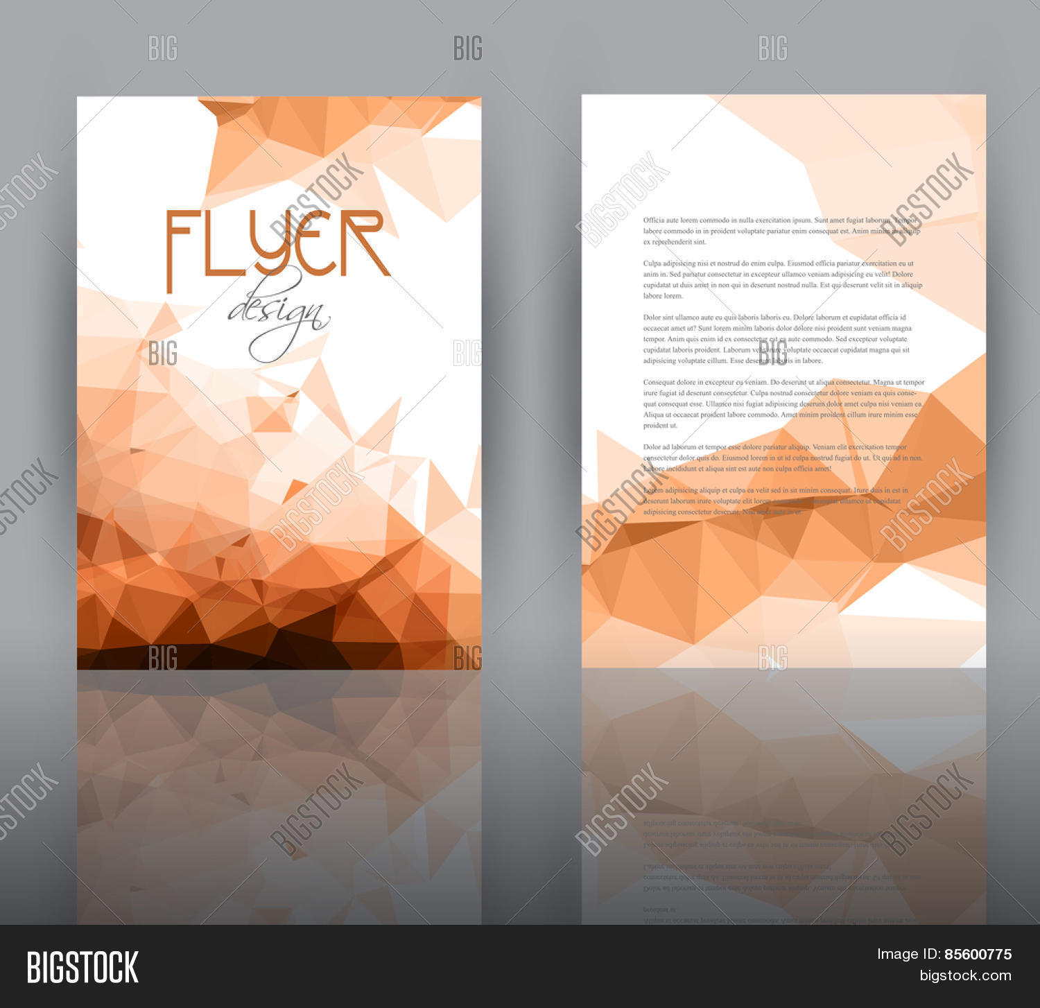 Double Sided Flyer Vector Photo Free Trial Stock Double Sided Flyer Vector Photo Free