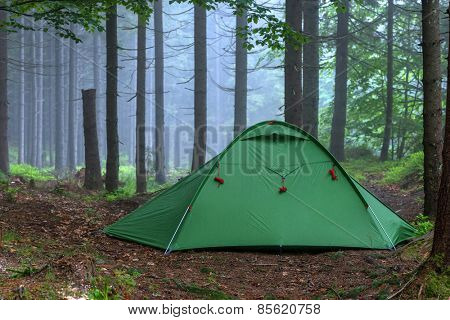 green tent on forest closeup