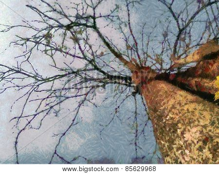 branch tree