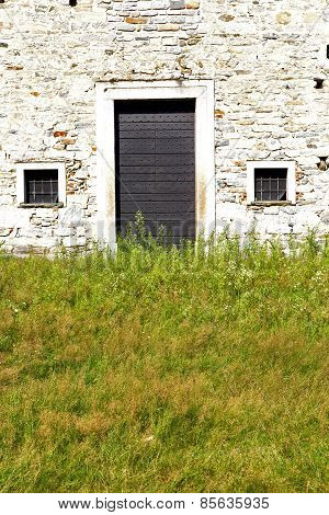 Grass Arsago    Closed Wood Italy  Lombardy