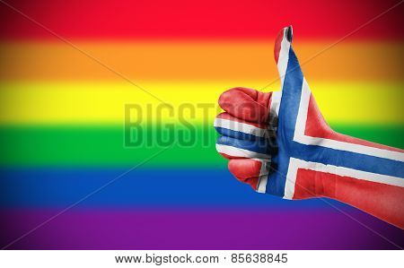 Positive Attitude Of Norway For Lgbt Community