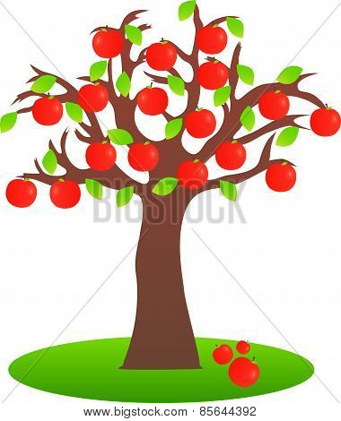 Apple tree