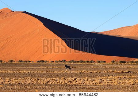 Sossusvlei Dunes