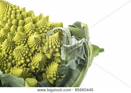 Romanesco Broccoli Vegetable Isolated On White Background