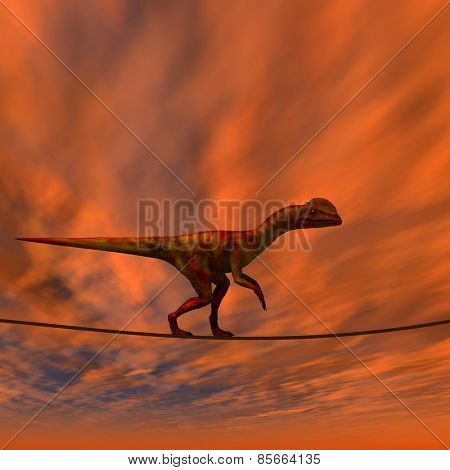 Concept or conceptual abstract business metaphor as wild heavy dinosaurus balancing on rope over sunset sky background