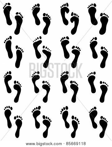 human feet
