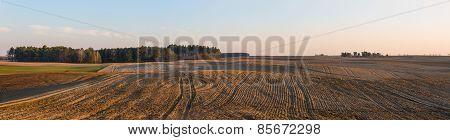Plowed Field Panoramic Landscape