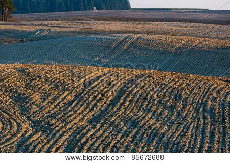 Plowed Field Landscape