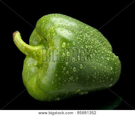 Studio Shot Of Green Bell Pepper Isolated On Black With Water Dr