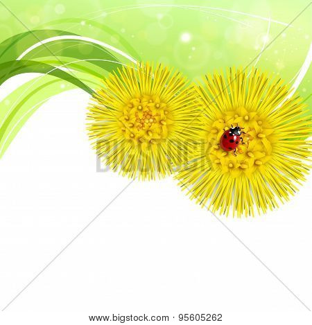 Spring Floral Background With Coltsfoot