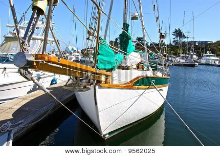 Pleasure Boats