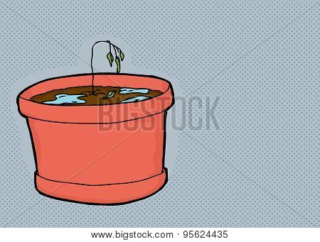 Over-watered Seedling On Gray