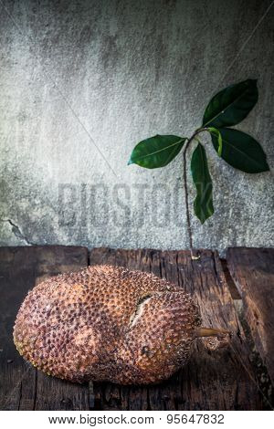 Rotten Jackfruit And Leaf
