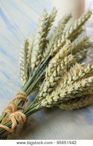 Two Bunches Of Grain On Light Blue Table