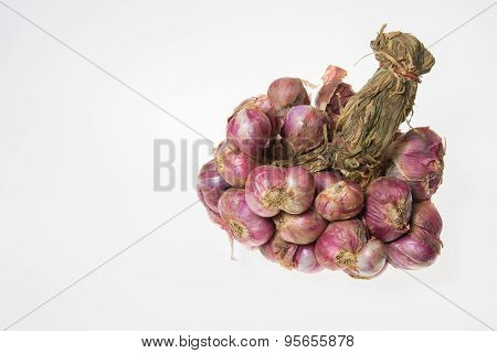 Shallots
