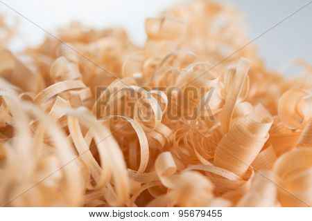 Wood shavings. Shallow depth of firld
