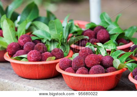 Fresh waxberry in the basket