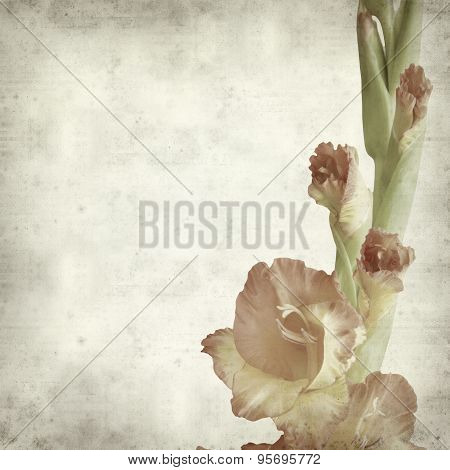 Textured Old Paper Background