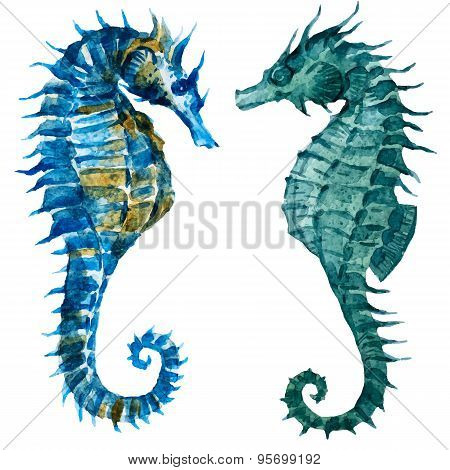 Watercolor seahorses