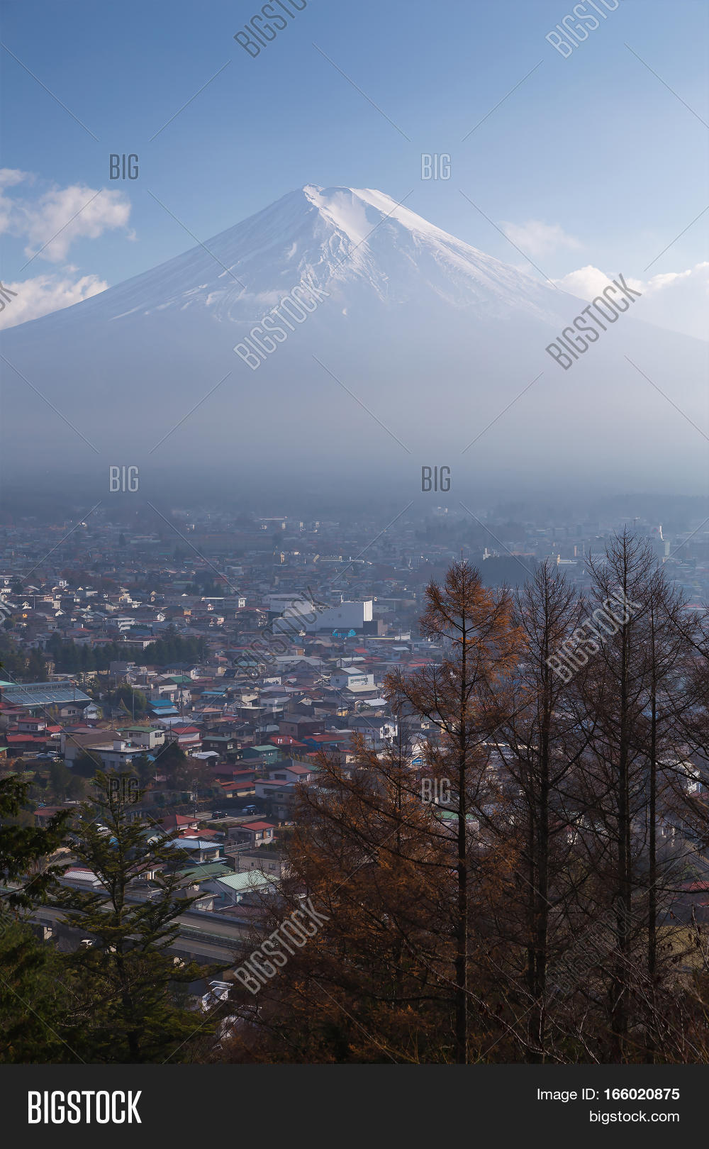 Image Preview