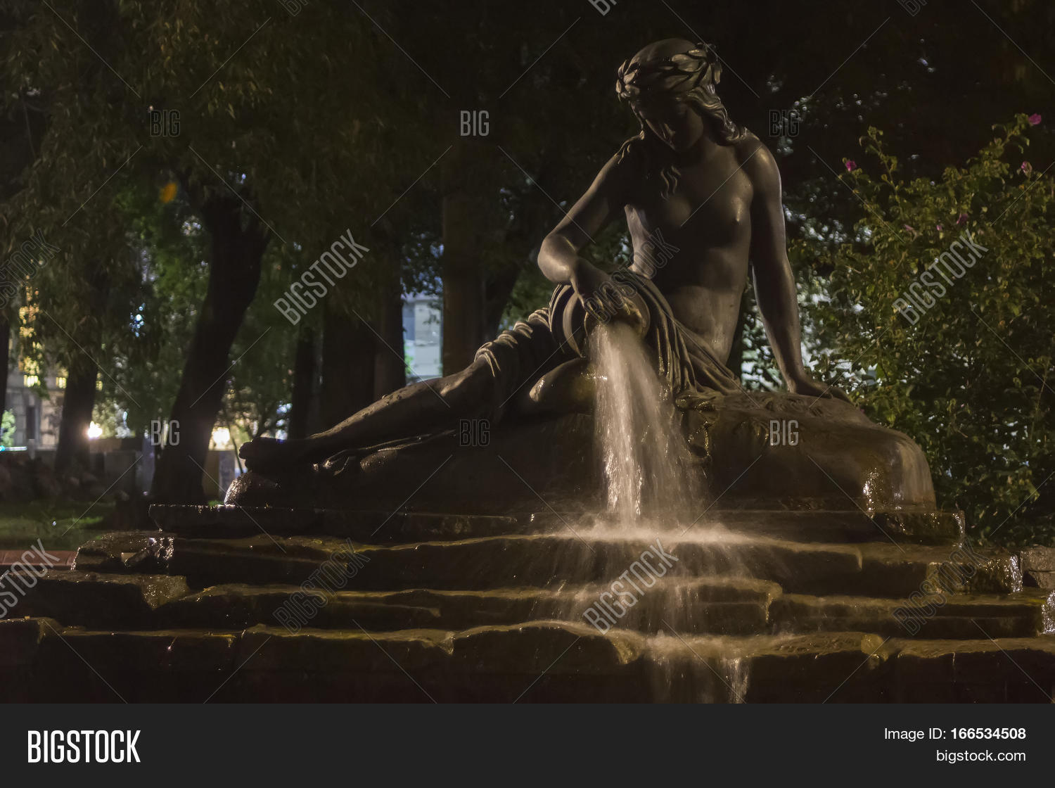 Image Preview