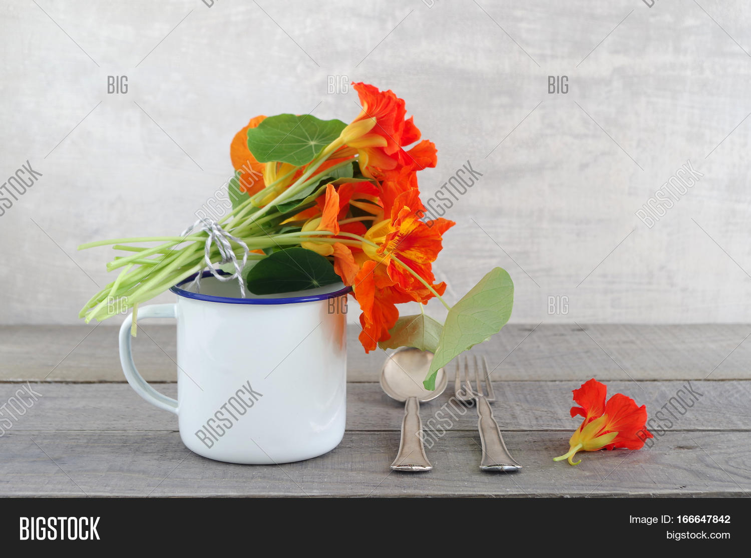 Edible Flowers Image & Photo (Free Trial) Bigstock