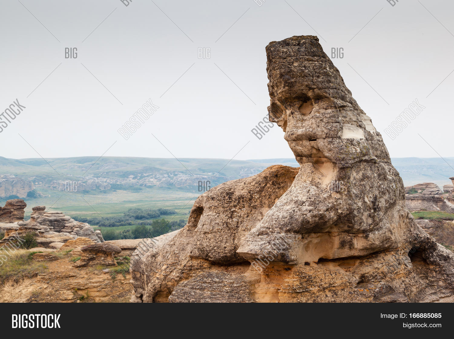 Image Preview