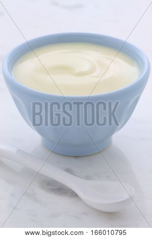 Fresh Plain Yogurt