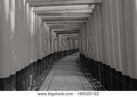 Black and White Zen Gate walking pass to the Japanese Temple Tori gate at Fushimi-inari temple Kyoto Japan