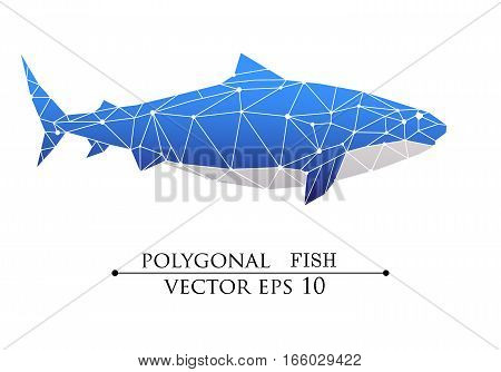 Vector Polygonal big fish, grampus, shark, whale blue with white belly. Web design page sight, poster banner, print, advertisement, element isolated.